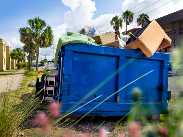 Best Furniture Removal in Mango, FL